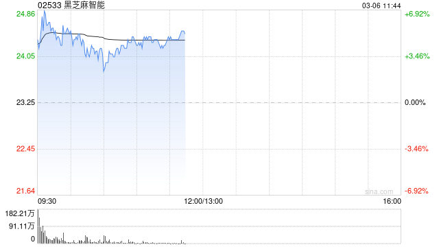 黑芝麻智能早盘高开逾6% 公司预计2024年度实现扭亏为盈