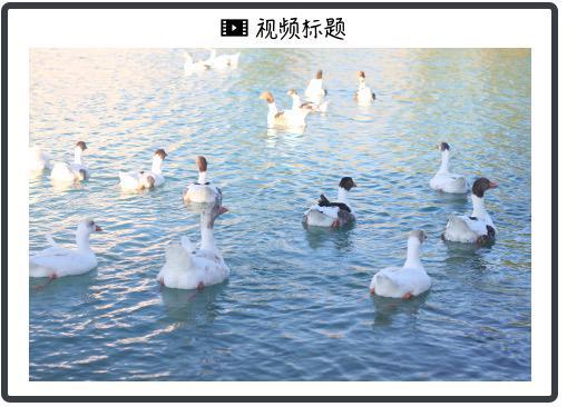 下一代擎天柱要来了？马斯克：年底会有“史诗级震撼”的演示