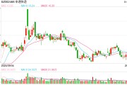 申通老将再出山成立“笨鸟速运”，宅急送持股30%