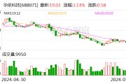 华依科技：控股股东承诺一年内不减持公司股份