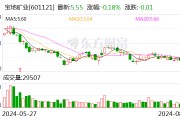 宝地矿业：上半年净利润同比增长53.24% 拟10派0.5元