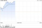 中国中免股价上涨5% 机构称消费税改革有望利好免税行业