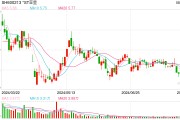*ST亚星“主动退市”方案出炉！行权价溢价9.93%，复牌一字涨停