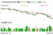 万华化学上半年营收创历史新高 净利超81亿同比降4.6%