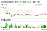 信永中和收监管警示函 牵出巨轮智能“虚构新购固定资产”往事