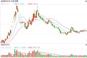 4.32亿元！天宝公司IPO折戟后“卖身”川发龙蟒