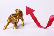 如何分析沪港深基金情况？分析此类基金要关注哪些要点？