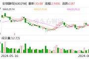 安琪酵母：拟出资3500万元与双柳美琪设立合资公司，注册资本为1亿元