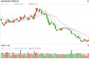 中国石化去年净利营收双降