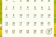 连续8天，免费！