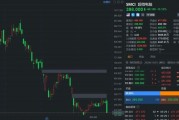 超微电脑大跌超13% 再次触发临时停牌