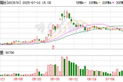 乐惠国际：关于召开2025年第三次临时股东大会的通知