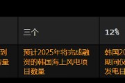 报告：韩国2025年值得关注的趋势 政治动荡下的能源问题