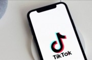 特朗普要求美国最高法院暂停执行TikTok强制出售令