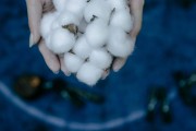 稻谷期货交易提货流程是什么？如何顺利完成提货操作？