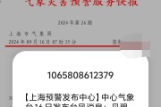 迎战台风“贝碧嘉”！上海市气象局：加强主动互动联动  全力筑牢安全防线