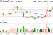 恩华药业上半年净利7亿元，同比增长11.38%