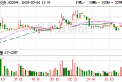 湘财股份拟换股吸收合并大智慧 80亿元配套资金同步推进
