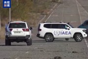 国际原子能机构驻扎波罗热核电站观察员完成例行人员轮换