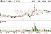 威士顿：7月25日召开董事会会议