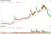 塞力医疗募集资金归还屡次异常值得关注