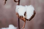 投资者应如何构建分散的期货投资组合？