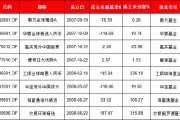 一年之差QDII基金命运迥异：2007年成立的嘉实海外中国股票仍亏25%，2008年成立的交银环球精选赚315%(名单)