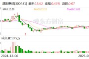 濮阳惠成：古雷项目目前已经建设完成