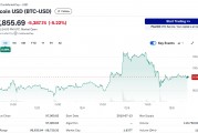 为下跌做准备？比特币历史性突破10万美元后，交易员进行大规模对冲交易