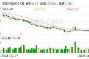 东阳光上半年营收逾60亿元 同比扭亏为盈