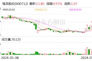 锦龙股份：持有的东莞证券3亿股股份正式挂牌转让 挂牌底价22.72亿元
