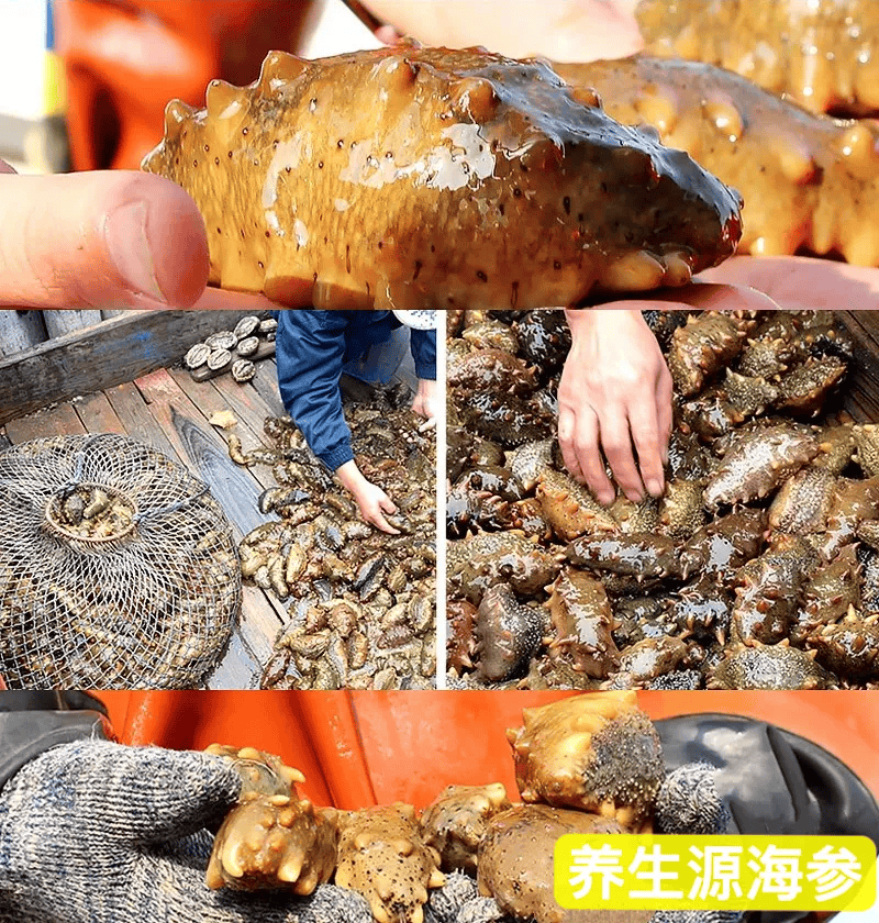 长海县做什么赚钱(在长海县工作怎么样)